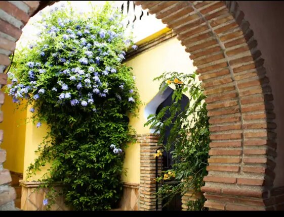 6ce67d73-9e5b-4396-a6a5-cfe65515da37