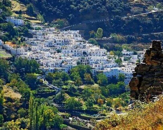 dd336797-773f-4421-90e7-e8065539f631