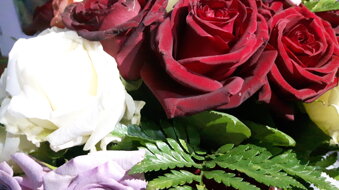 4b3e7ef6-84c9-4f34-b9a4-b2e1945c79c9