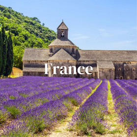 59335ff1-b0f6-433d-8942-02a3a334d783