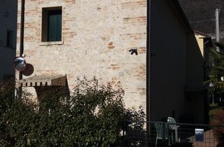 2017-09-21 09.51.55.jpeg