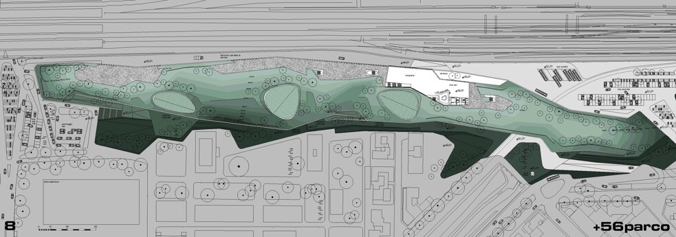 pianta.jpeg pianta.jpeg