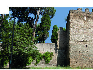 pianta.jpeg pianta.jpeg