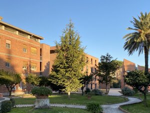 logo engineering no nomi (large).jpeg