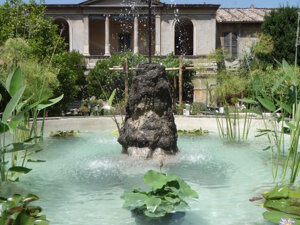 20170616_121935.jpeg 20170616_121935.jpeg