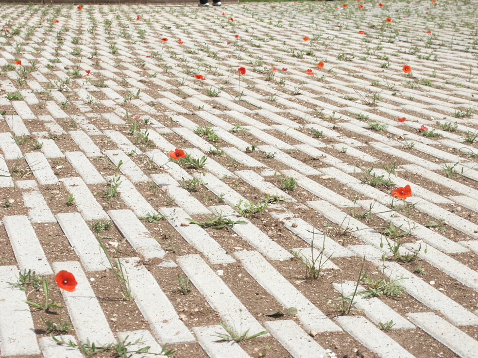 pict0004.jpeg pict0004.jpeg