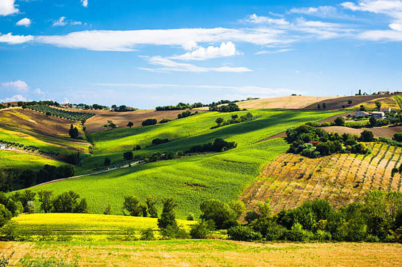 istockphoto-483232249-612x612.jpeg istockphoto-483232249-612x612.jpeg