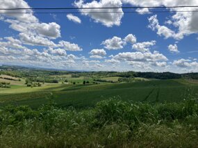 img_1624.jpeg
