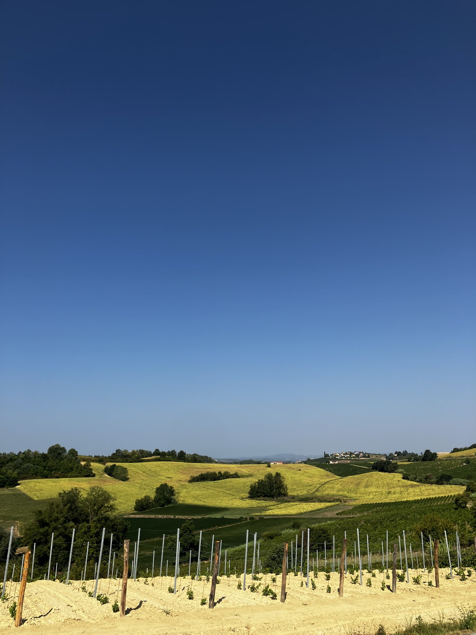 passeggiate-colline-monferrato