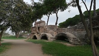 img_20171019_094441.jpeg