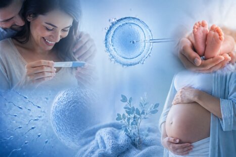 ivf.jpeg