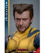 wolverine-deluxe-hot-toys