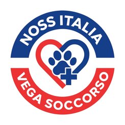 whatsapp image 2026-01-29 at 15.11.26.jpeg whatsapp image 2026-01-29 at 15.11.26.jpeg