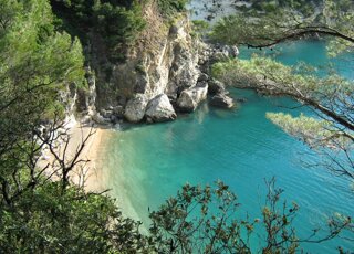 isola%20campi%20e%20costa%207,9.jpeg