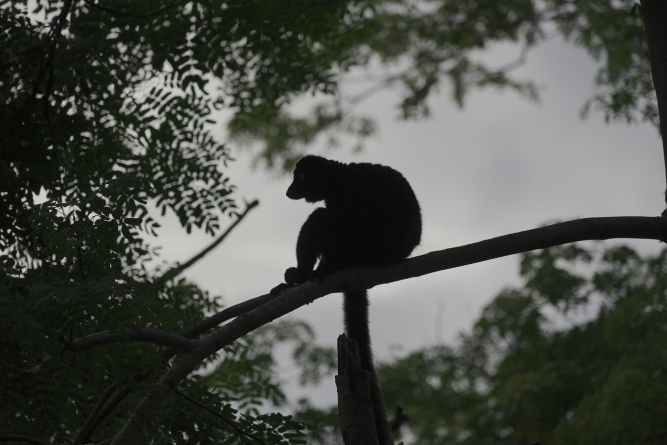 dsc00407.jpeg