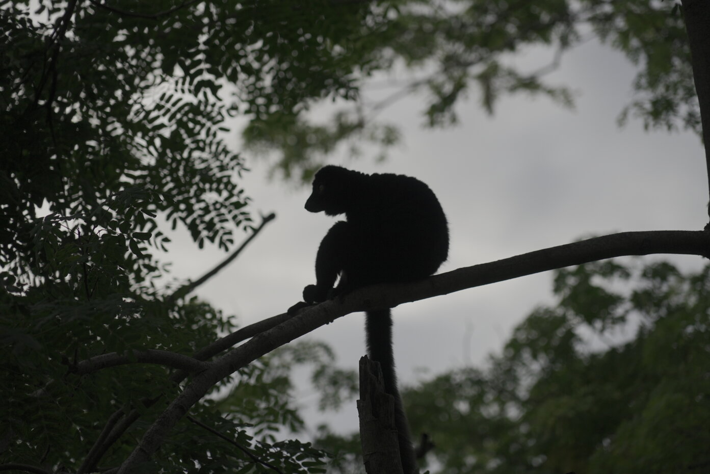 dsc00407.jpeg