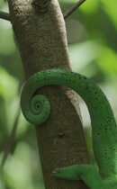 schermata%202023-12-14%20alle%2012.55.57