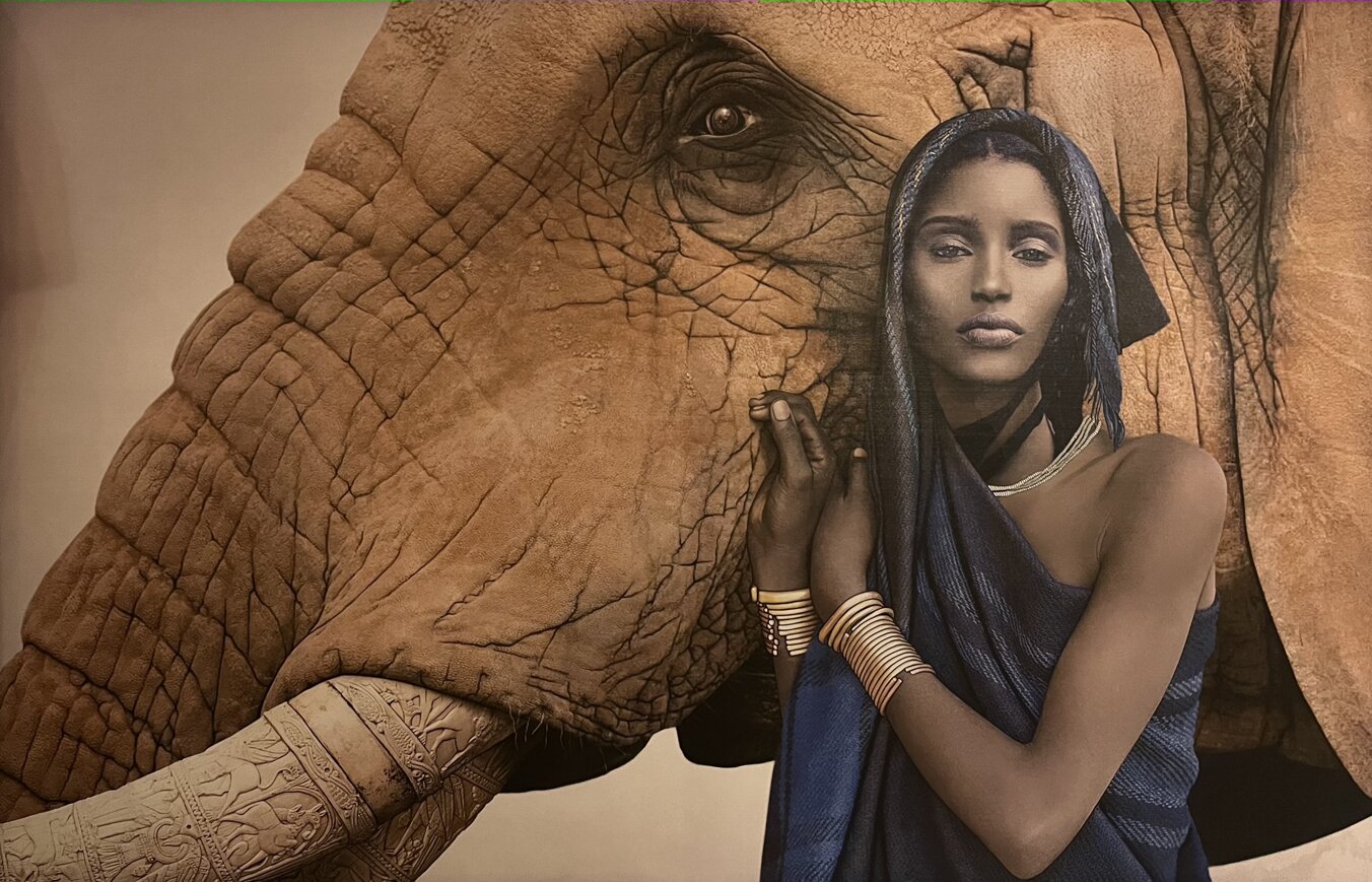 img_4706.jpeg img_4706.jpeg