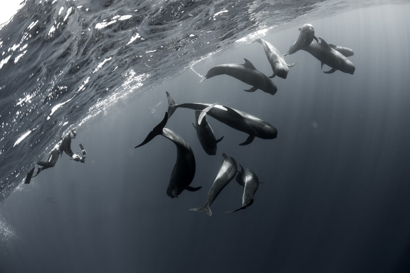 foto mia da sergio hanquet.jpeg foto mia da sergio hanquet.jpeg