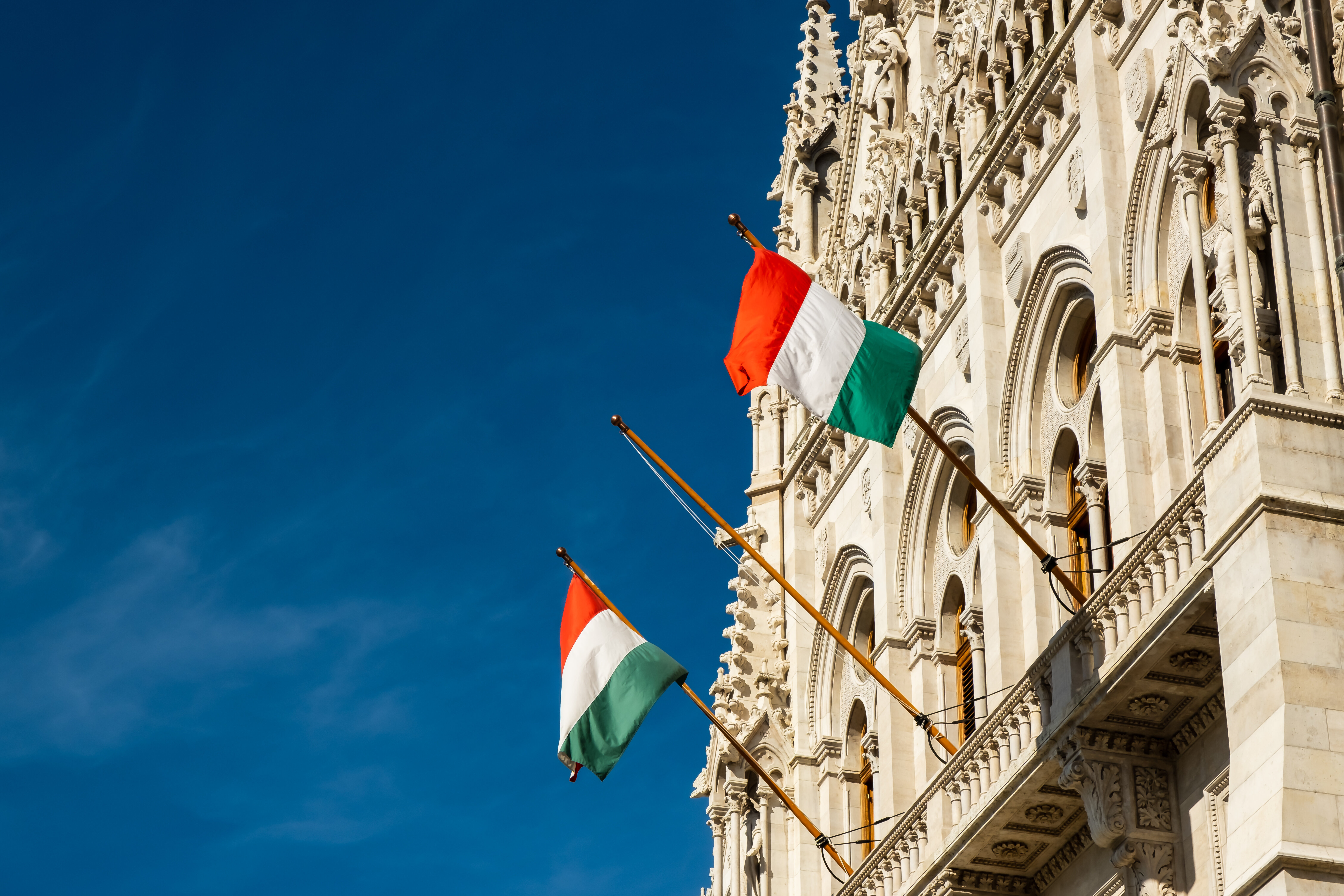 Workshop internazionale BI 