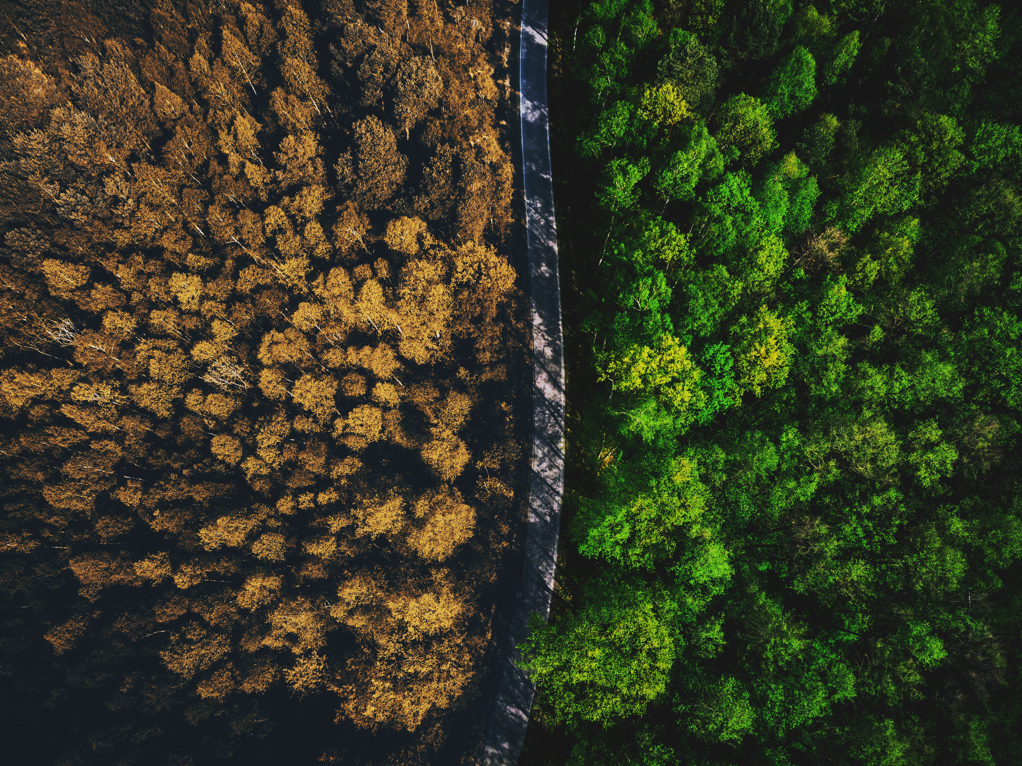 Aggiornamento della BCE sugli indicatori statistici sul clima per l'anno 2025