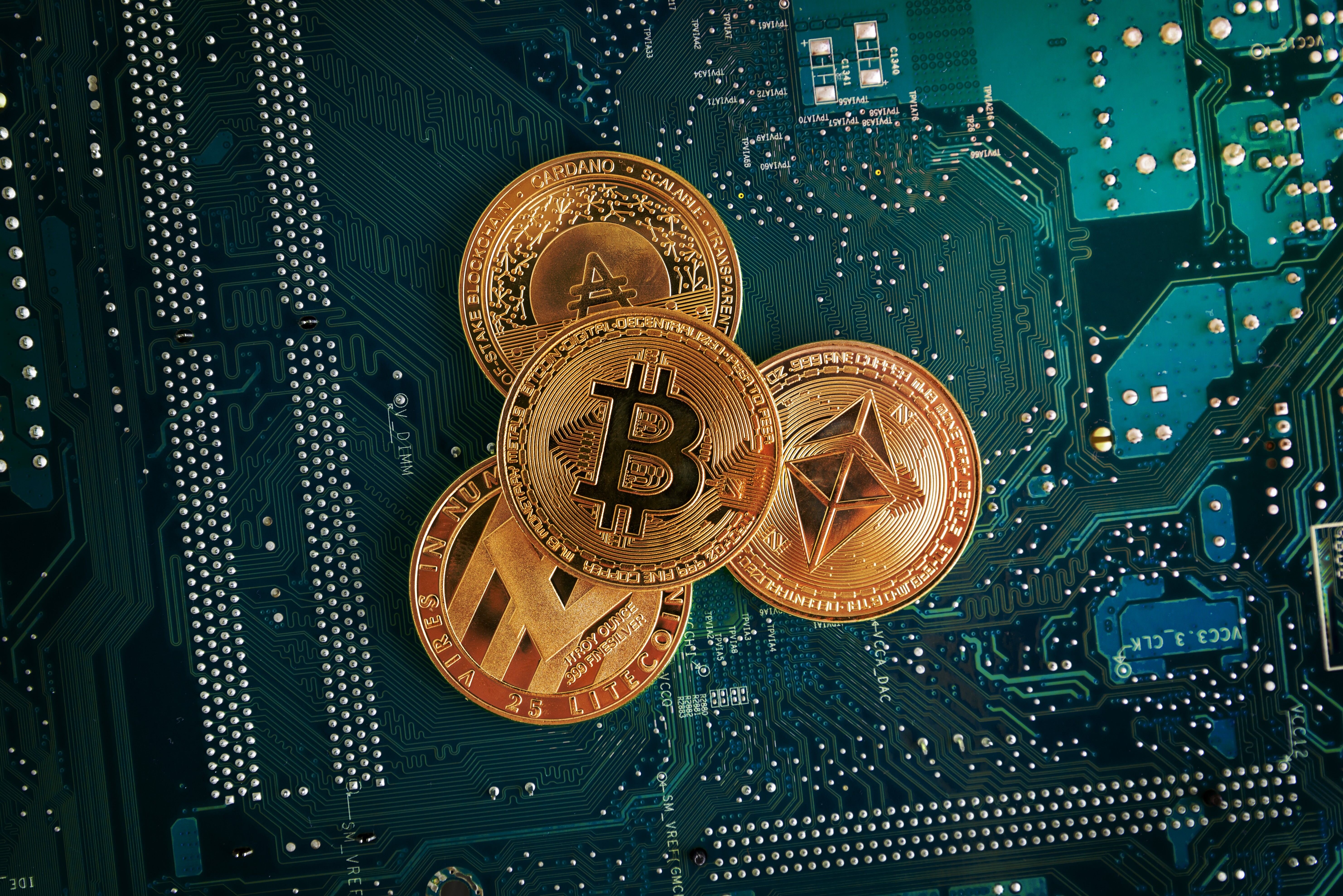 Chi adotta le criptovalute in Europa? Nuove evidenze pubblicate dalla BCE