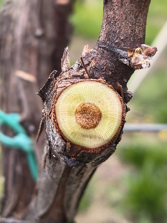 whatsapp image 2026-03-23 at 18.58.55.jpeg