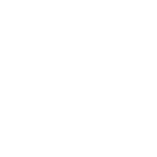 verlè - logo bianco e fondo trasparente