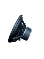 subwoofer-passione-ps-10