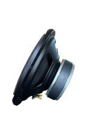 midwoofer-desiderio-dw-65
