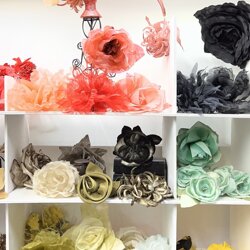 photo_8_2026-03-12_19-54-05