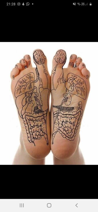 83b88ac4dfd663c1480bb9f53436e147569c3185