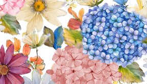 elaborazione digitale.jpeg