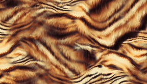 logo nuova serimados1a.jpeg logo nuova serimados1a.jpeg