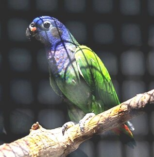 img_7811.jpeg img_7811.jpeg