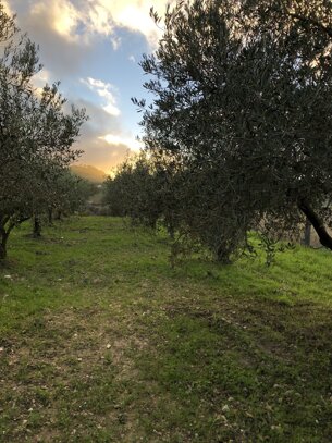 40201_169eca1bdd88ab6e3571745b12a54ccd48508884