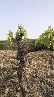 40201_470281cfc4308167dc85a8d1a1edaf7cb723a3da