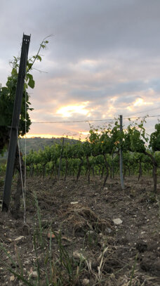 40201_95a80ec6167a69f67098c94d09ed0304049ed5a7