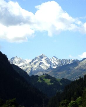 leventina - copy.jpeg
