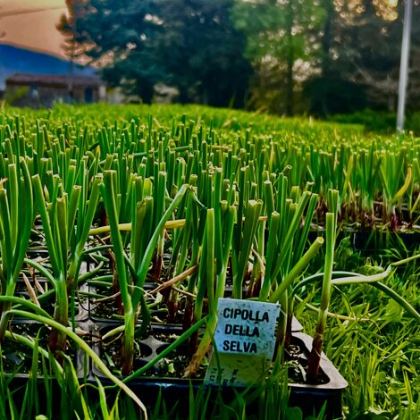 697b40ba-cb97-4b90-8890-a047663f0351