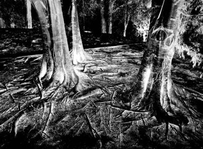 ombre umberto ruffo_ph.jpeg