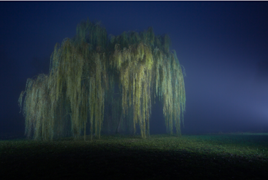 riparo umberto ruffo_ph