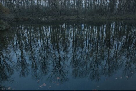 sottosopra umberto ruffo_ph.jpeg