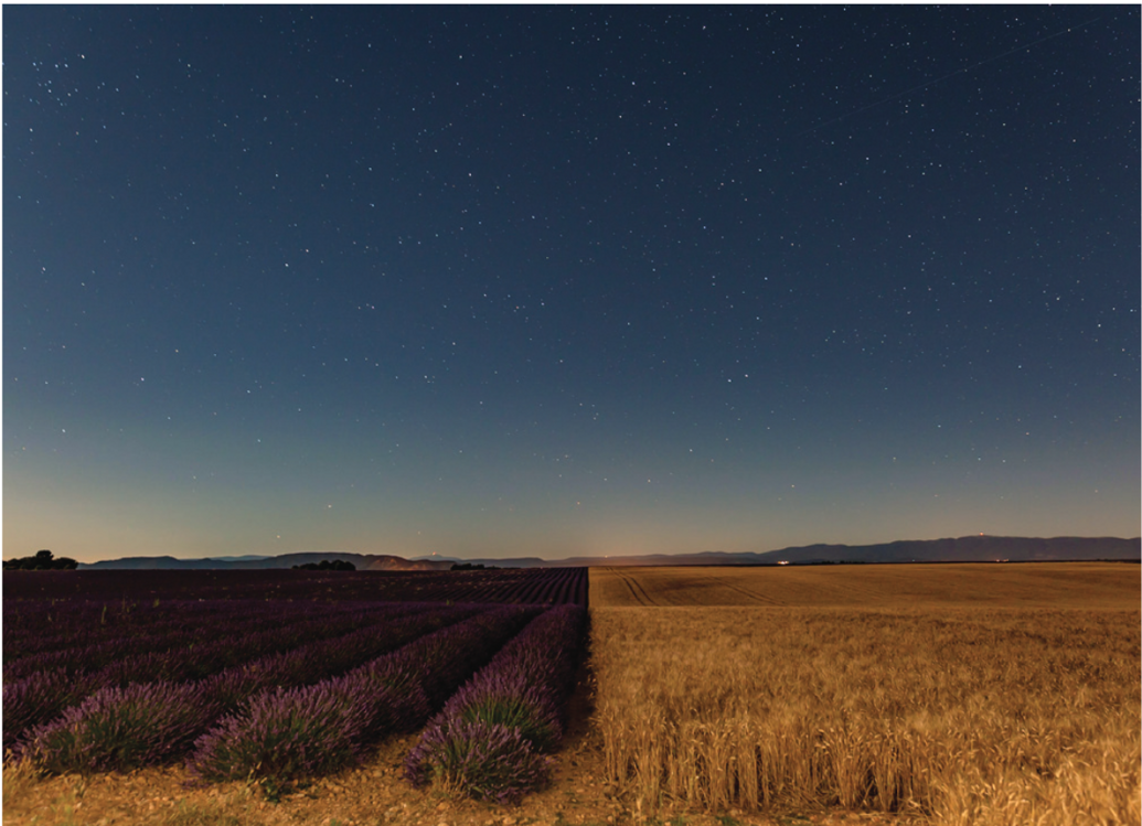 schermata 2025-03-28 alle 08.54.29