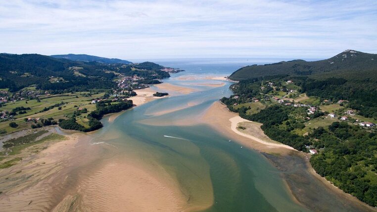 urdaibai.jpeg