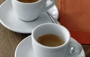 eyJpdCI6Im1pZ2xpb3JlIGVzcHJlc3NvLCBjb3JzbyBnYXJpYmFsZGkgUGF2aWEsIGJvb2sgY2Fm6CwgbGlicmVyaWEsIHByYW56aSB2ZWdhbmksIGJvb2sgY3Jvc3NpbmcsIHJlbGF4LCB3aSBmaSBmcmVlLCBjYWZm6CBsZWNjZXNlLCBiaWNlcmluLCBnaW5zZW5nIHJvc3NvIn0=