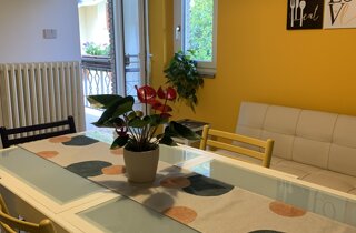 img_0936.jpeg