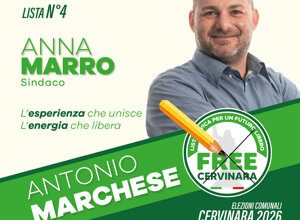 merola.jpeg