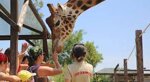 zoo-dabruzzo-2-giugno