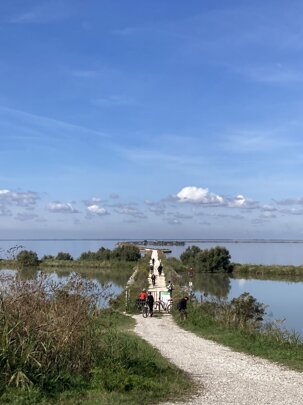 img_4267.jpeg img_4267.jpeg